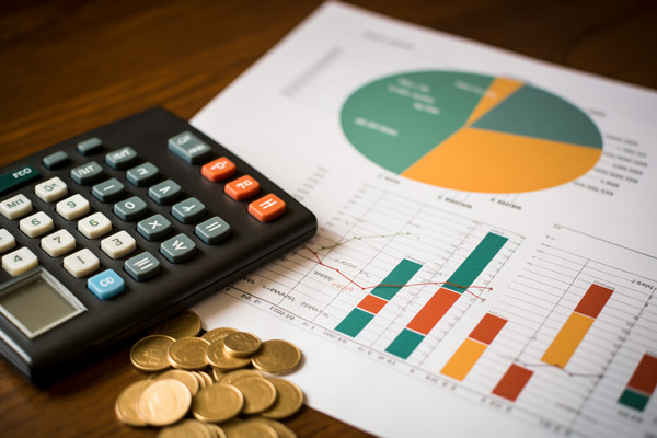 強(qiáng)化集團(tuán)管控：財務(wù)，人力資源，信息技術(shù)的整合