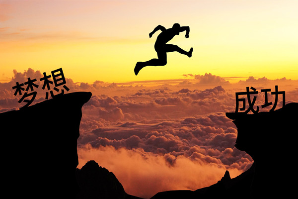 績效管理：應(yīng)對變革挑戰(zhàn)，推動組織變革成功