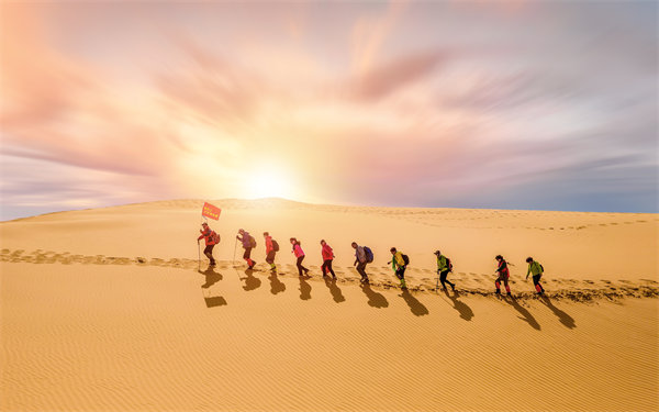 風(fēng)險防范：構(gòu)建全面風(fēng)險管理體系，保障企業(yè)穩(wěn)健發(fā)展