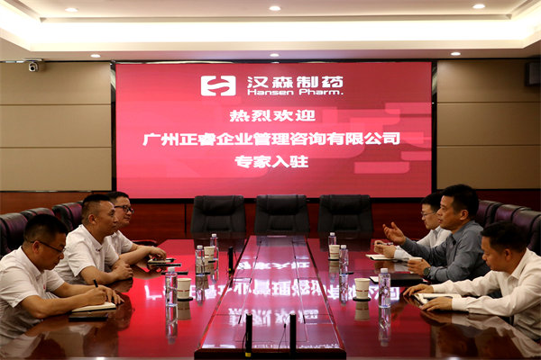 湖南漢森制藥股份有限公司精益營銷管理升級(jí)項(xiàng)目啟動(dòng)