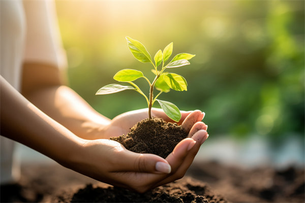 可持續(xù)發(fā)展成為趨勢(shì)，企業(yè)如何融入綠色戰(zhàn)略以促增長(zhǎng)？