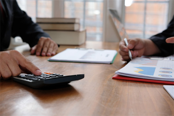 預(yù)算管理系統(tǒng)中，如何平衡自動化與人工審核的利弊？