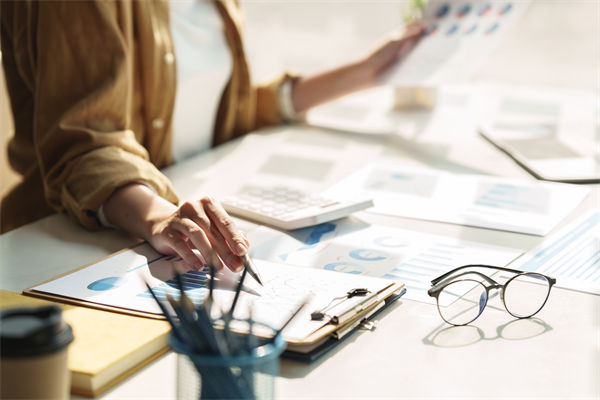 在預(yù)算執(zhí)行中，如何確保監(jiān)控與調(diào)整機(jī)制的有效性？