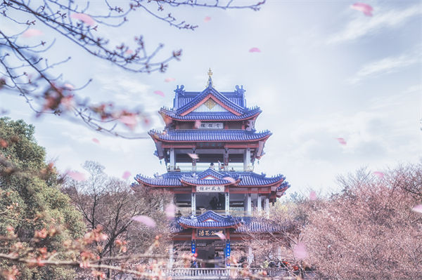 供應(yīng)鏈成本居高不下，無(wú)錫供應(yīng)鏈咨詢(xún)公司如何精準(zhǔn)砍出利潤(rùn)空間？