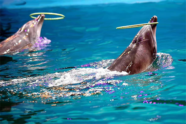 績效管理分析：公園月薪3萬招摸魚官每天工作2小時(shí)