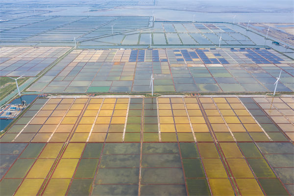 濰坊集團(tuán)子公司失控內(nèi)耗嚴(yán)重，濰坊集團(tuán)管控咨詢公司如何重構(gòu)權(quán)責(zé)體系？