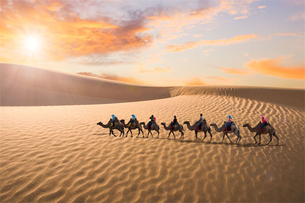 企業(yè)文化管理失效？這三大認(rèn)知誤區(qū)為何拖垮團(tuán)隊(duì)？