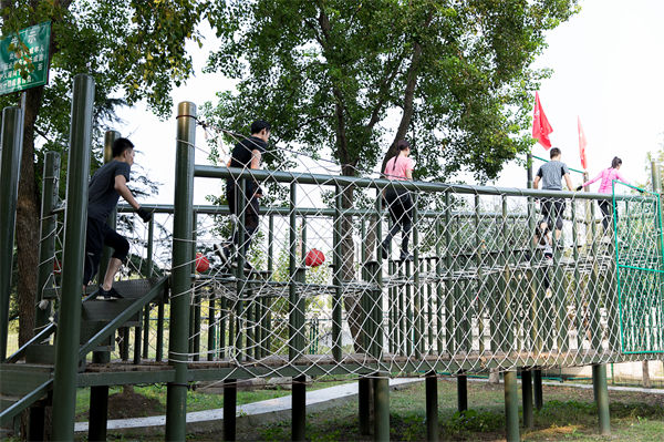 文化活動形式豐富多樣，組織凝聚力提升為何緩慢？