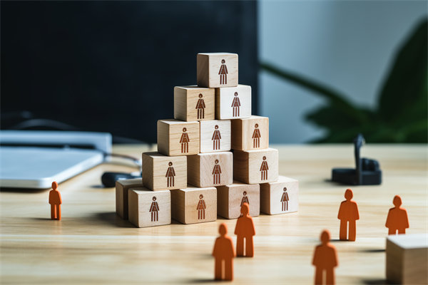 人力資源咨詢公司哪家好，適配企業(yè)戰(zhàn)略搭人才梯隊(duì)的