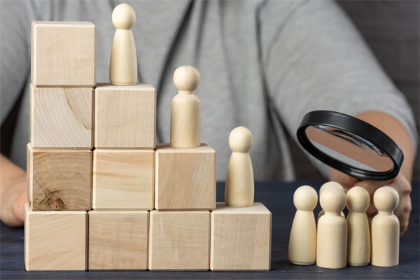 國(guó)內(nèi)人力咨詢(xún)公司哪家好，能破崗位價(jià)值評(píng)估模糊的嗎？