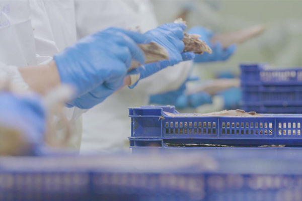 本土駐廠精益生產咨詢哪家強，能快速提升產線流轉效率么？