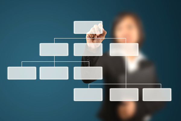 哪家組織規(guī)劃咨詢公司落地最好，能搭建適配發(fā)展的組織體系？