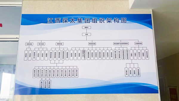 江西保太集團組織架構圖